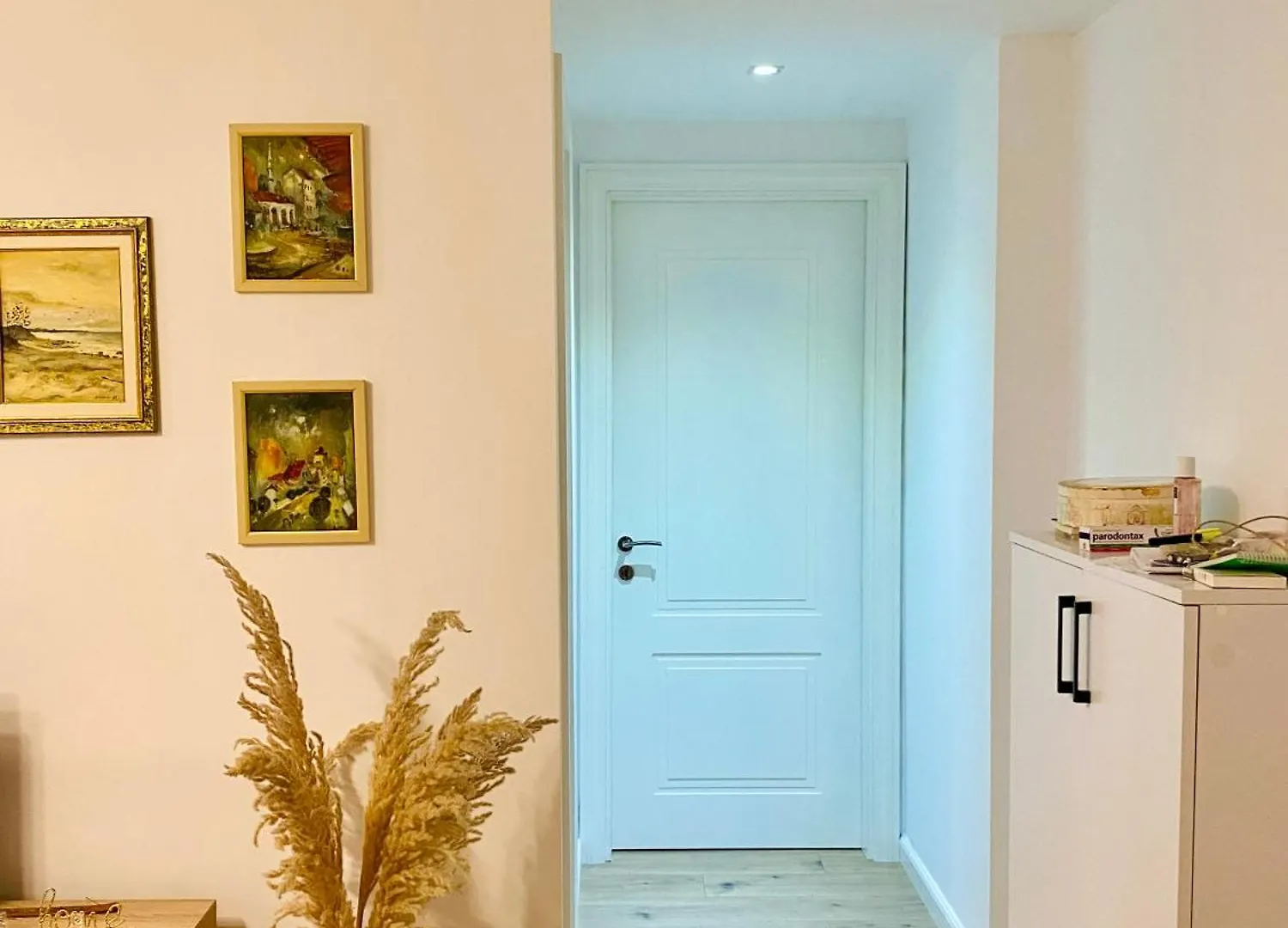 Jolie Center Apartment Tirana Albania